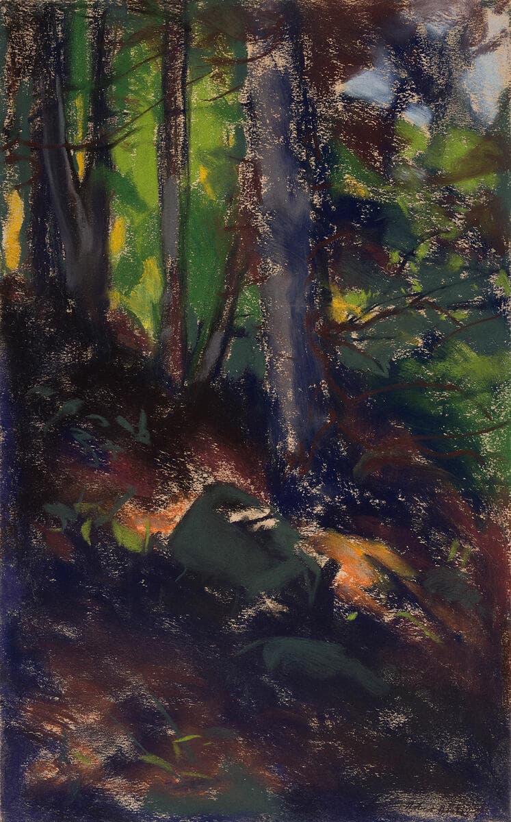 Life in the Woods