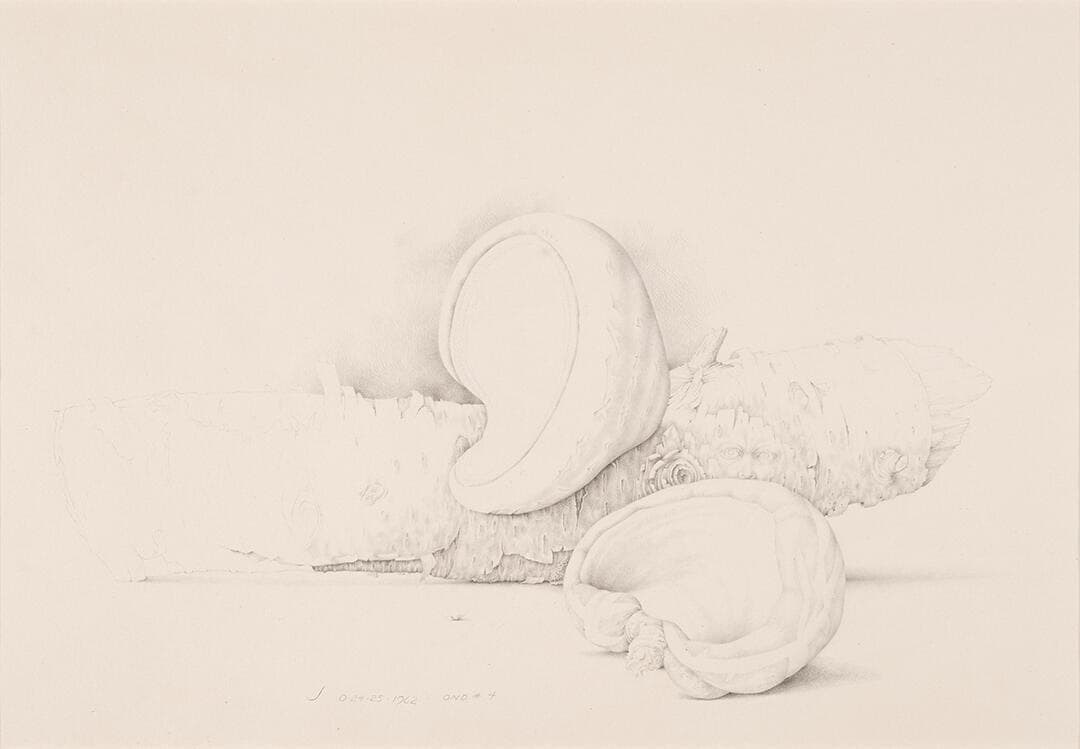 Objecta Naturlica Divinia
