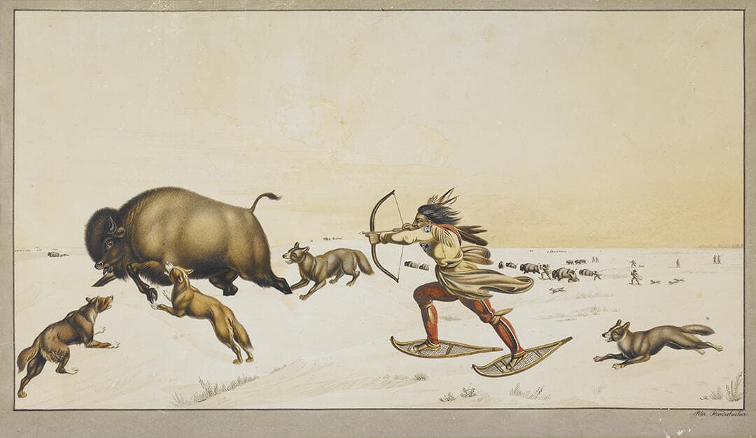 Buffalo Hunt. Winter Scene of an Assiniboine Indian Hunting on Snowshoes