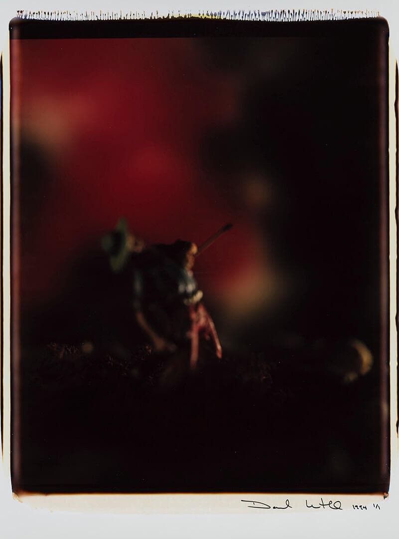 Untitled