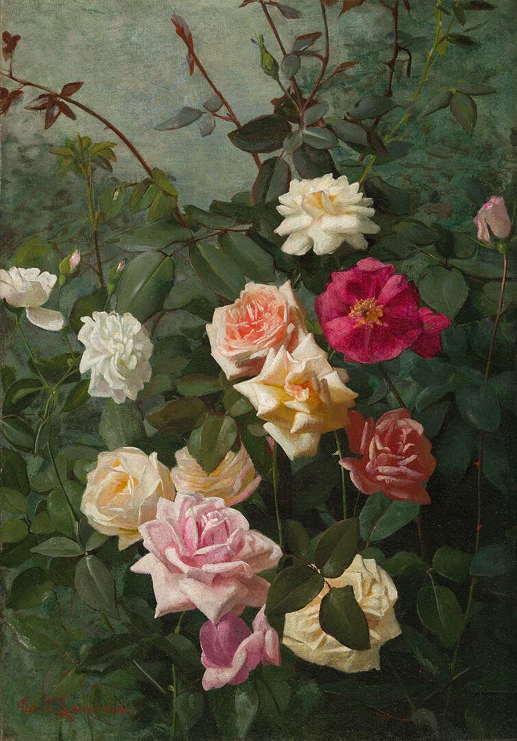 White, Pink, Yellow and Red Roses