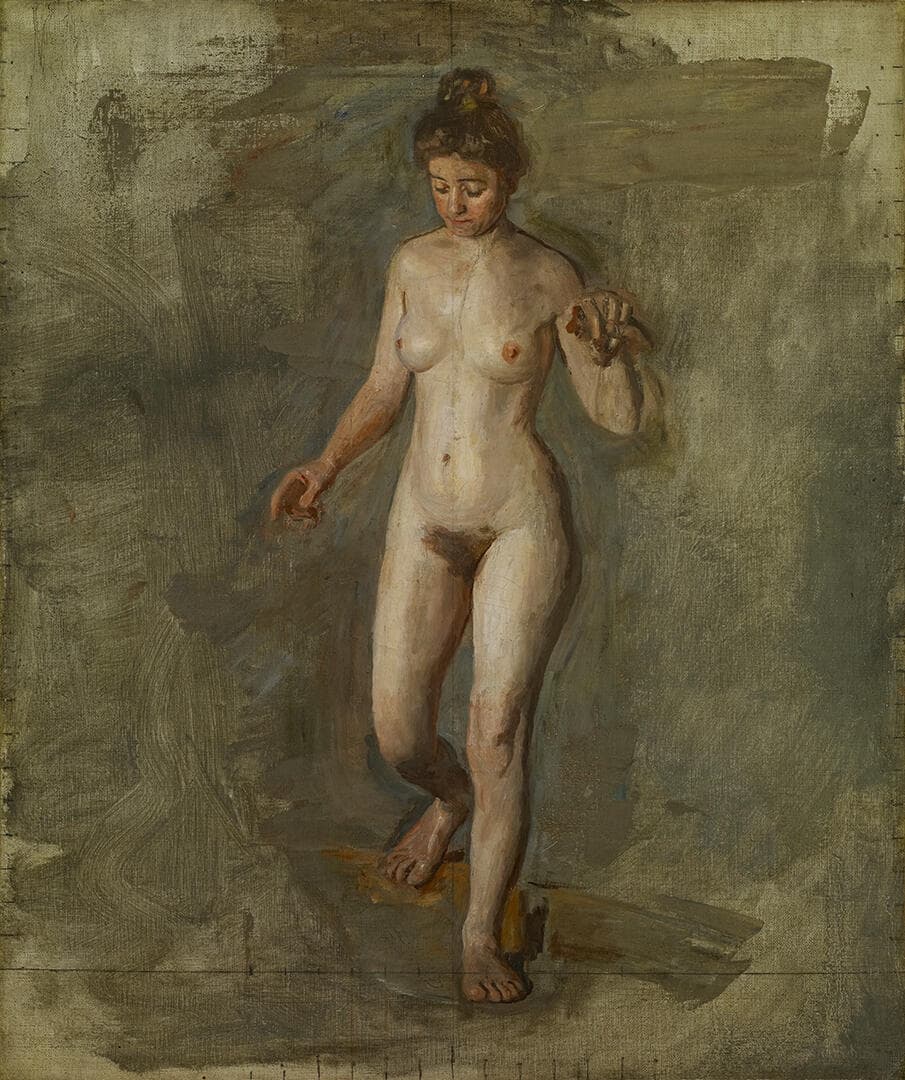 The Model