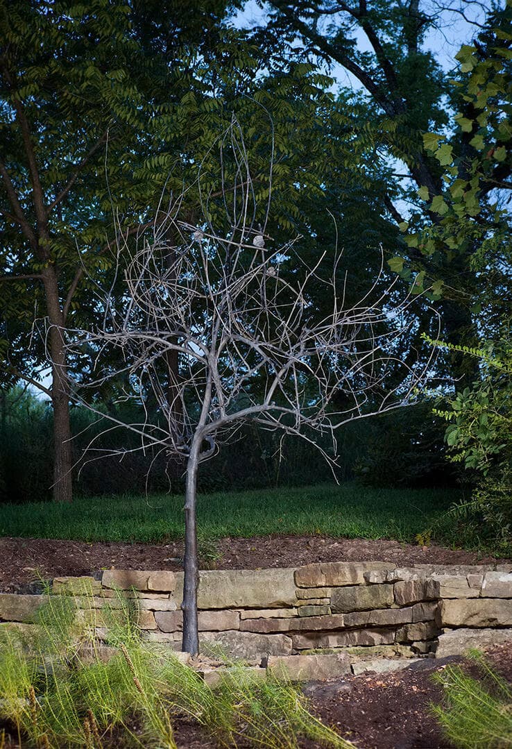 Tour de Apple Tree