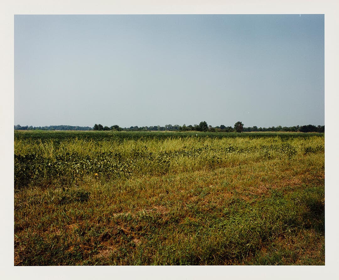 Rohwer, Japanese-American Concentration Camp, Arkansas, August 28, 1993/R-4-6-96
