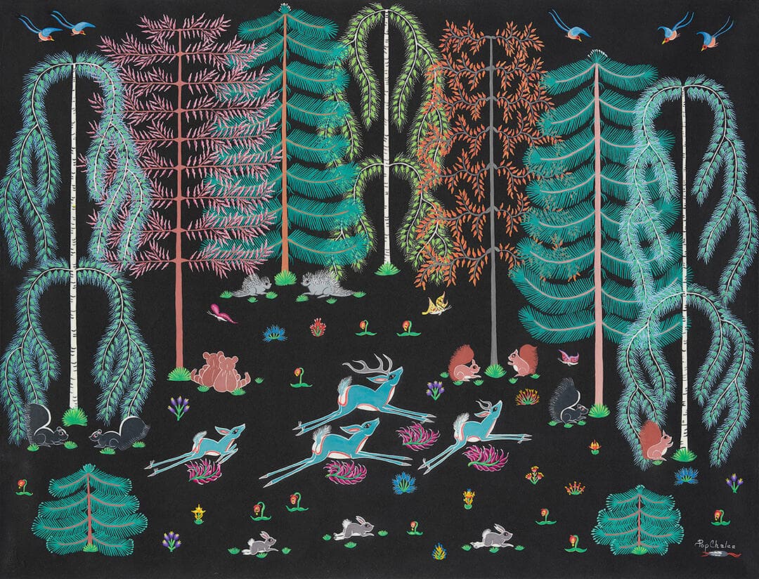 Enchanted Forest