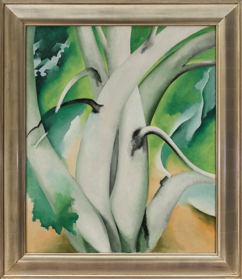 White Birch—Lake George