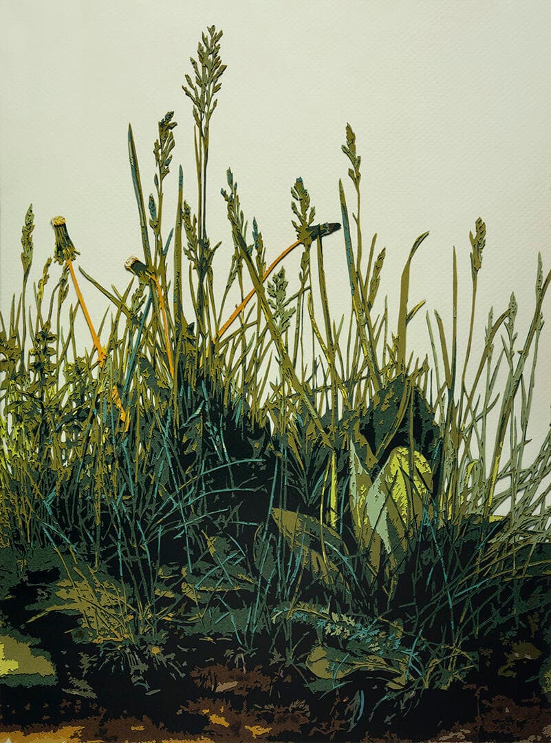 The Great Turf, after Albrecht Durer
