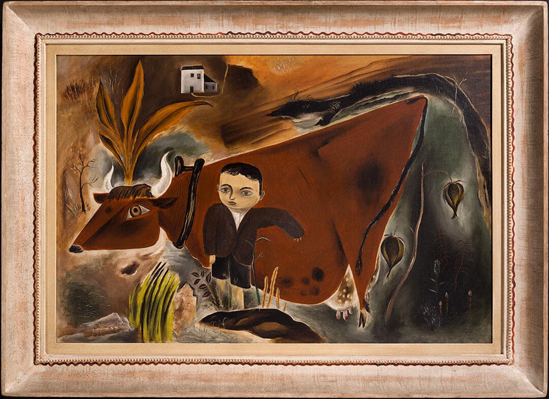 Little Joe with Cow
