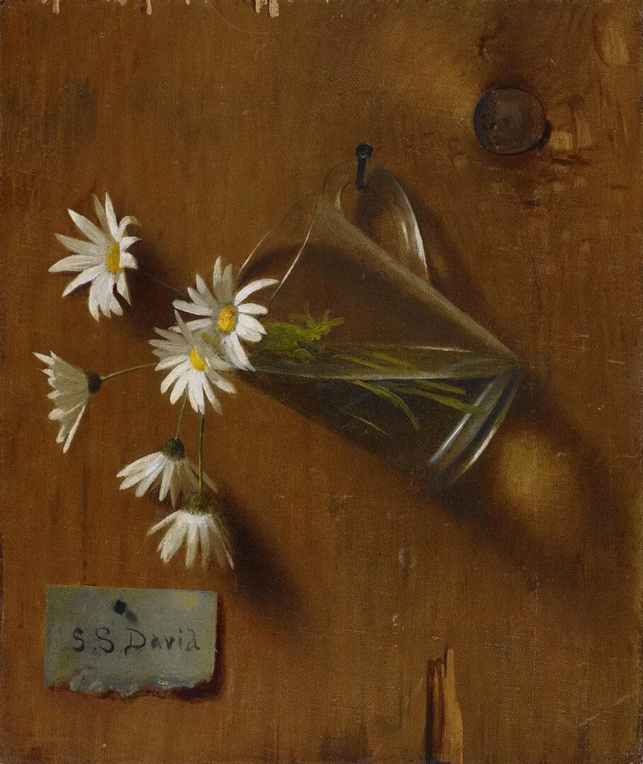Daisies