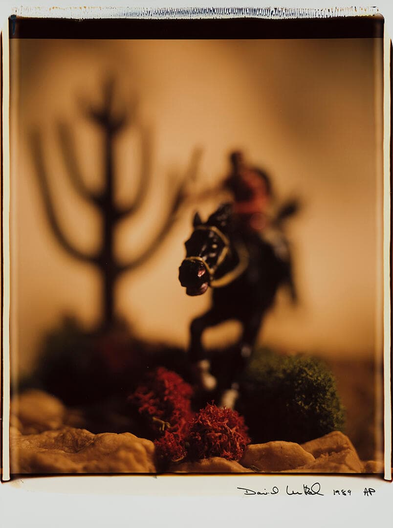 Untitled