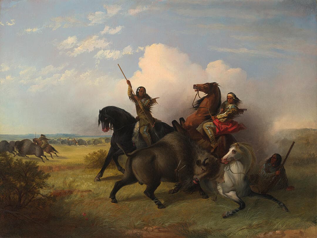 The Buffalo Hunt