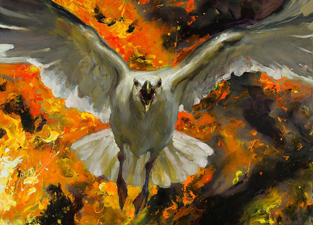 Carney Gull #3