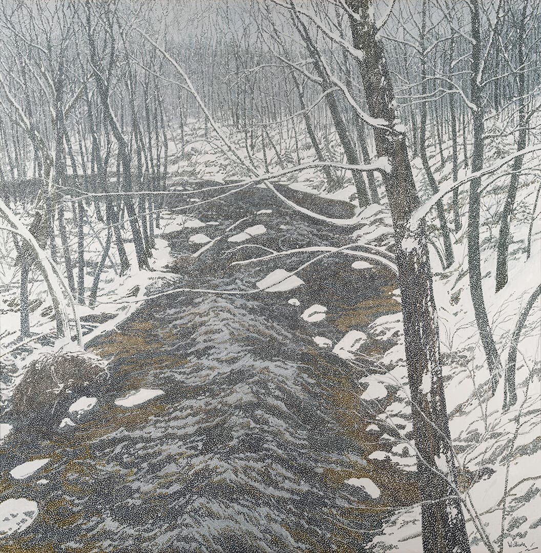 Snow on Alden Brook