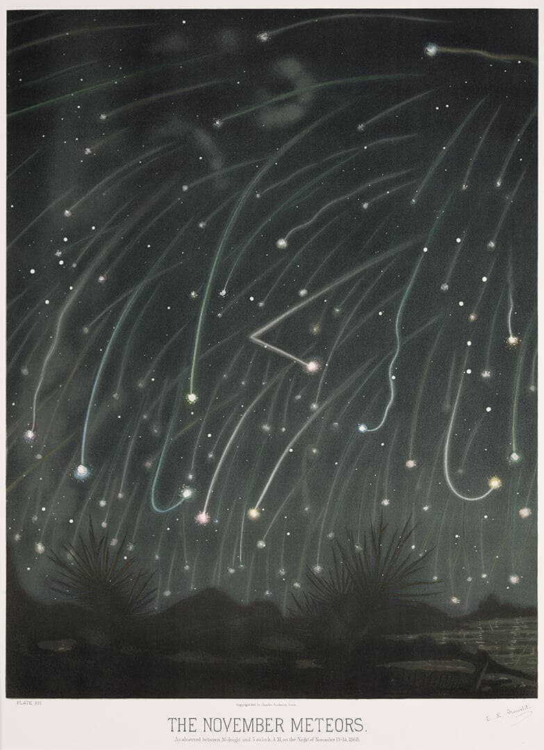 The November Meteors