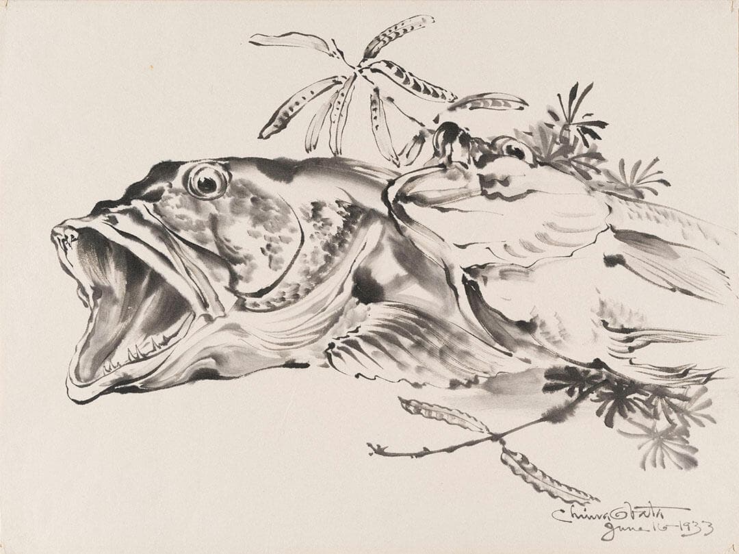 Fish Heads