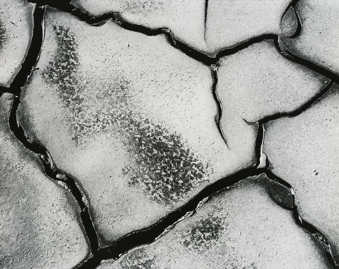 Mud Crack