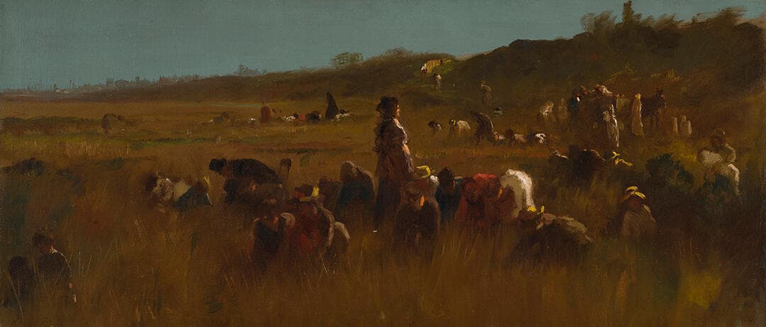 Cranberry Pickers, Nantucket