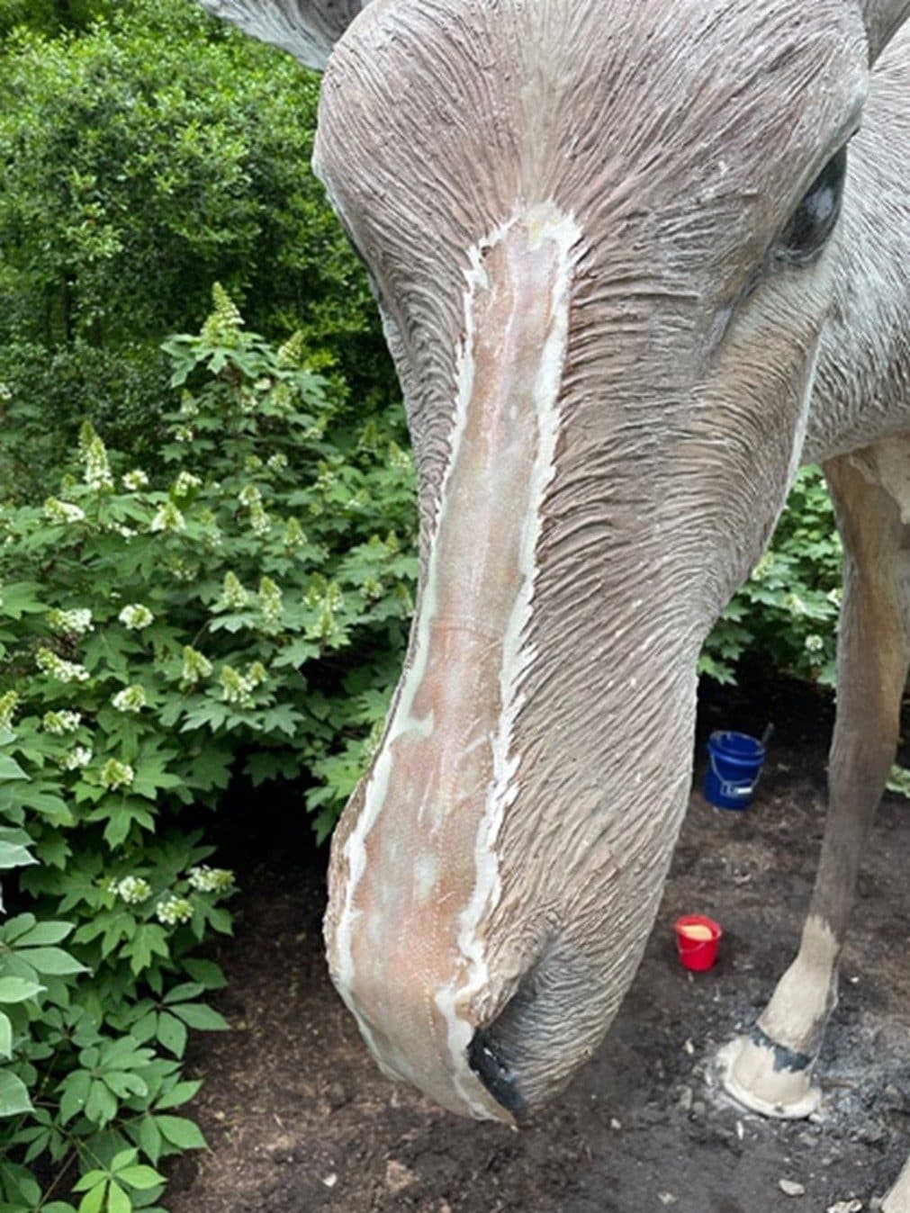 The team applies new fiberglass to Deer.
